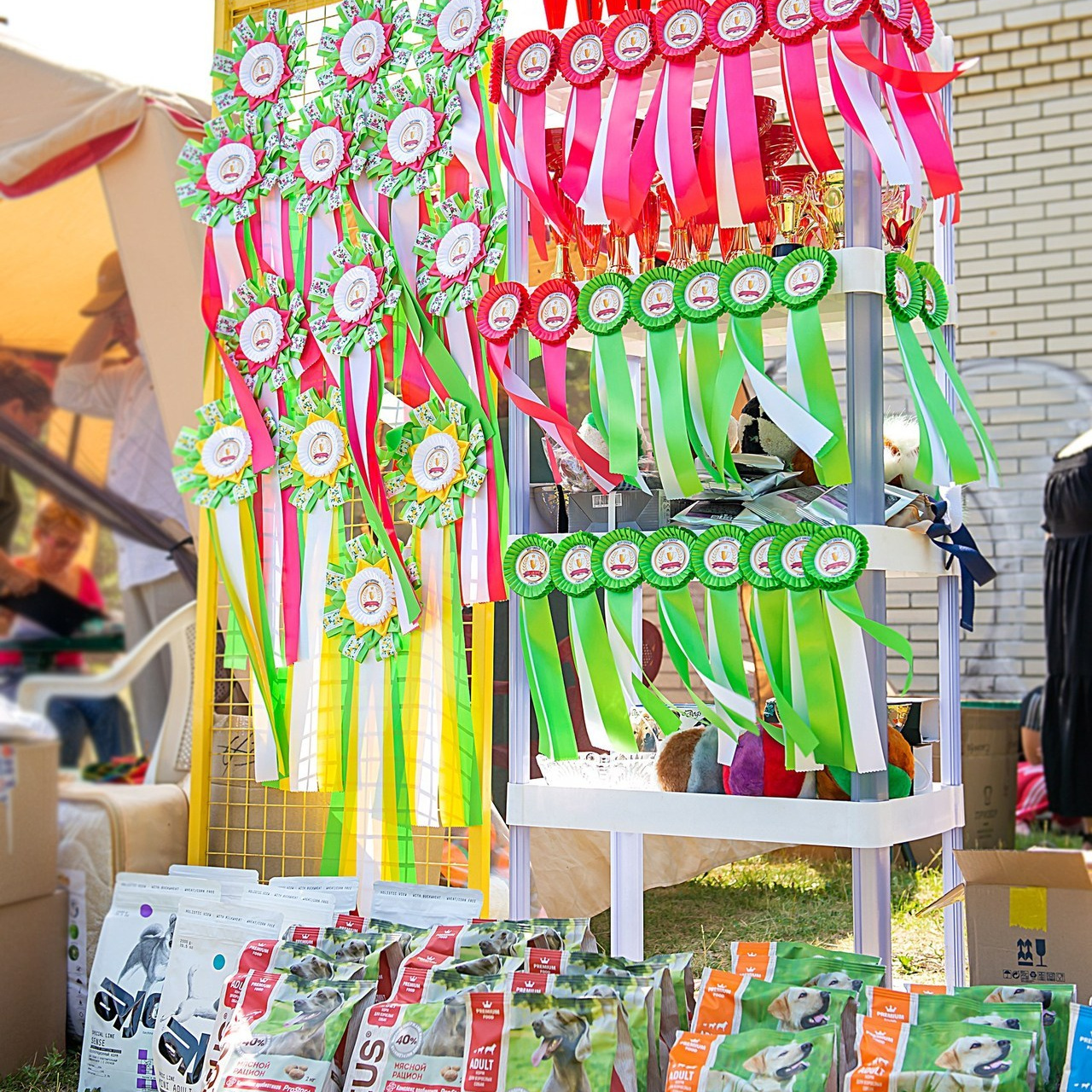 Отзывы. Детский и семейный фотограф в Пензе Камалова Анастасия