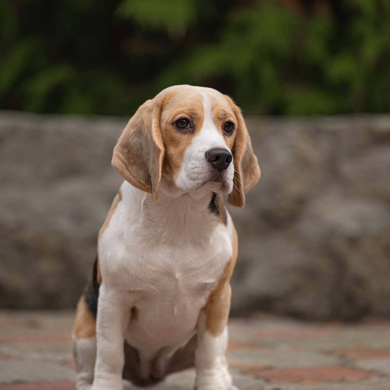 Отзывы. Детский и семейный фотограф в Пензе Камалова Анастасия