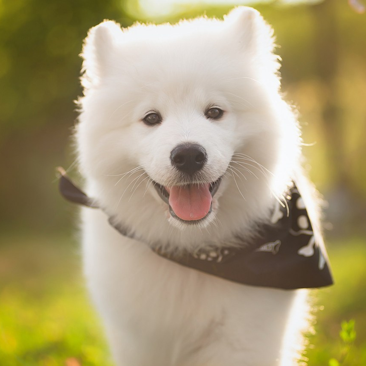 Отзывы. Детский и семейный фотограф в Пензе Камалова Анастасия