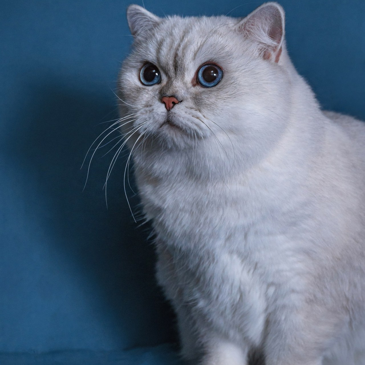 Отзывы. Детский и семейный фотограф в Пензе Камалова Анастасия