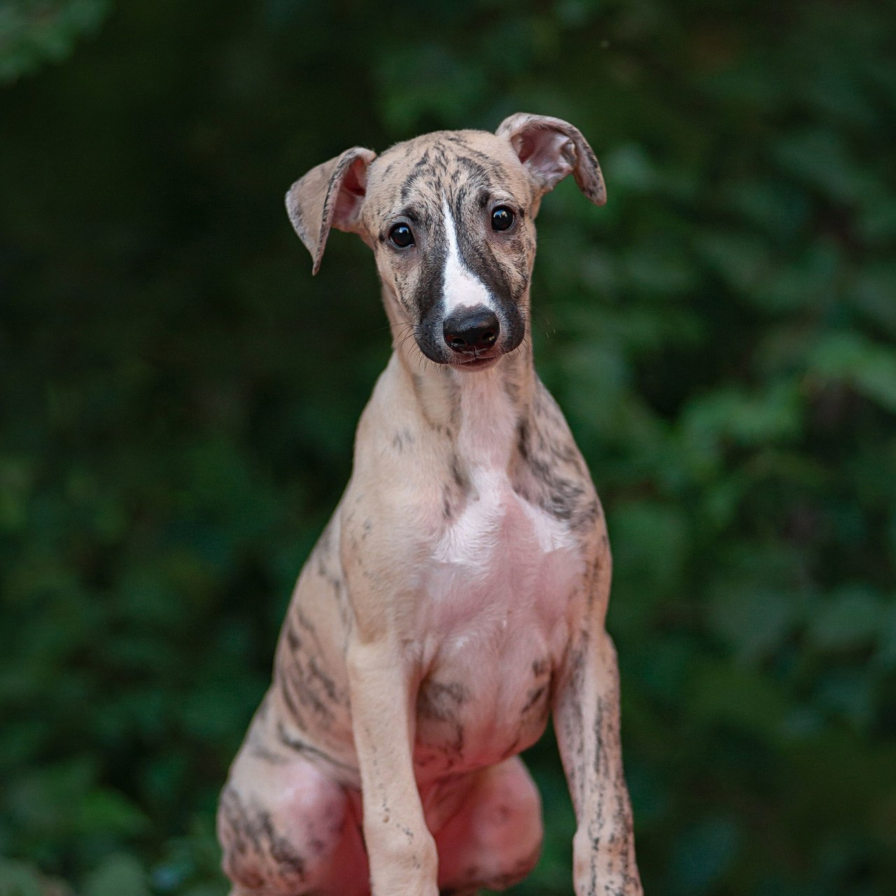 Отзывы. Детский и семейный фотограф в Пензе Камалова Анастасия