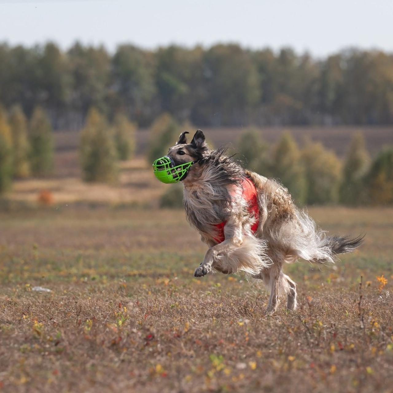 Отзывы. Детский и семейный фотограф в Пензе Камалова Анастасия