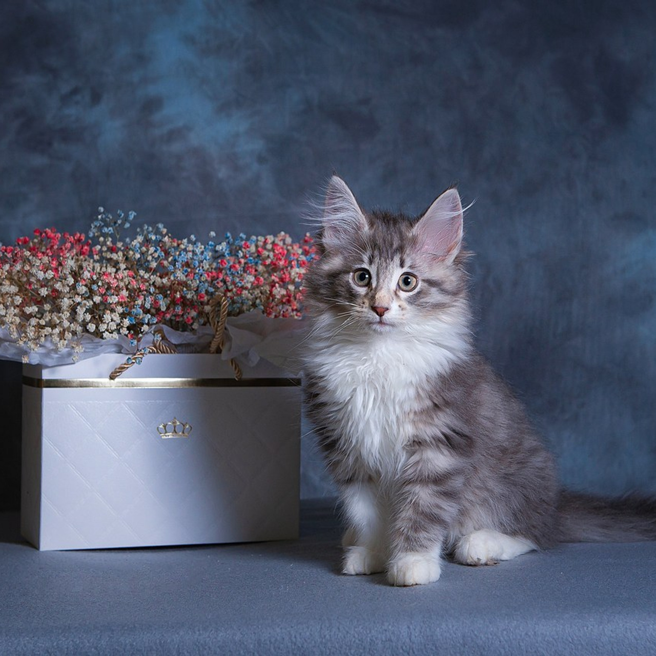 Отзывы. Детский и семейный фотограф в Пензе Камалова Анастасия