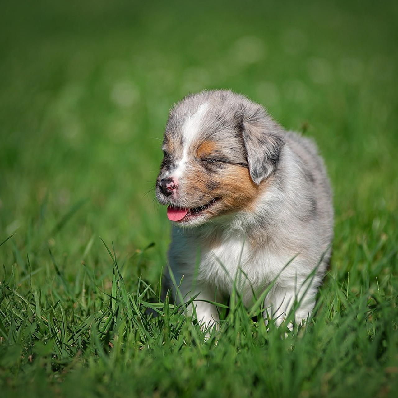 Отзывы. Детский и семейный фотограф в Пензе Камалова Анастасия