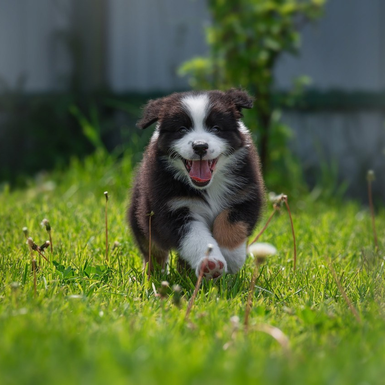 Отзывы. Детский и семейный фотограф в Пензе Камалова Анастасия
