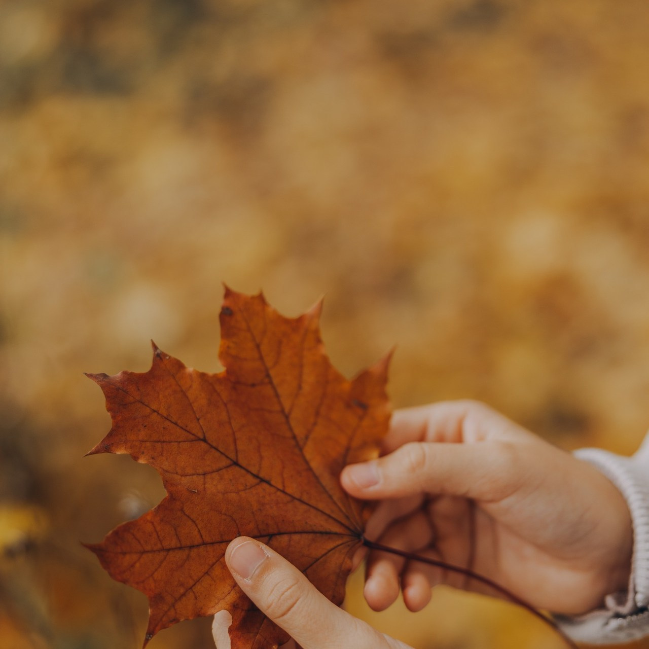 Отзывы. Наталья Подузова. Фотограф. Москва