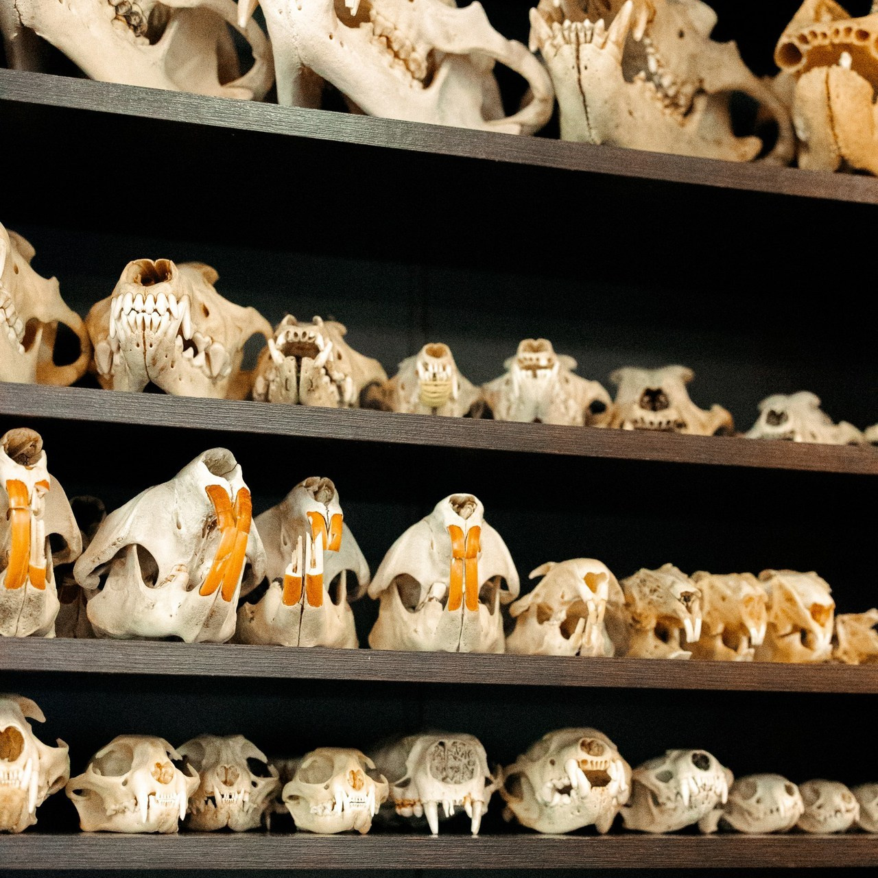 Отзывы. Наталья Подузова. Фотограф. Москва