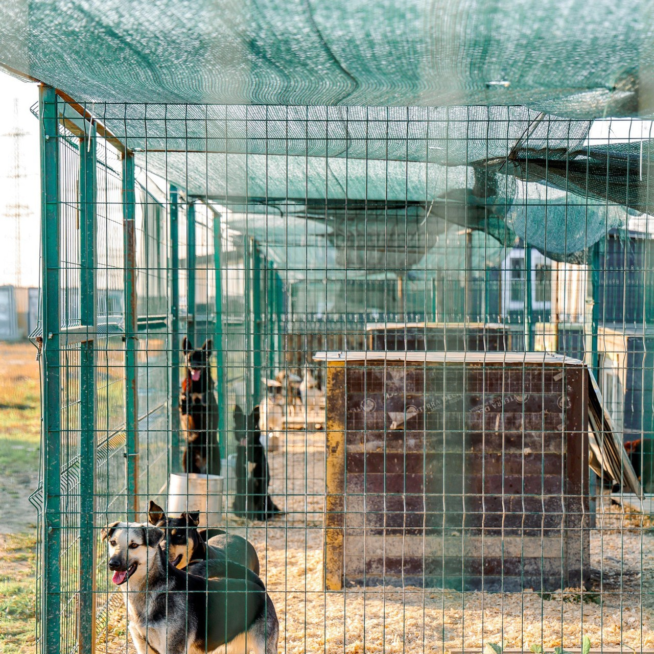 Отзывы. Фотограф Санкт-Петербург Натали Тяглова