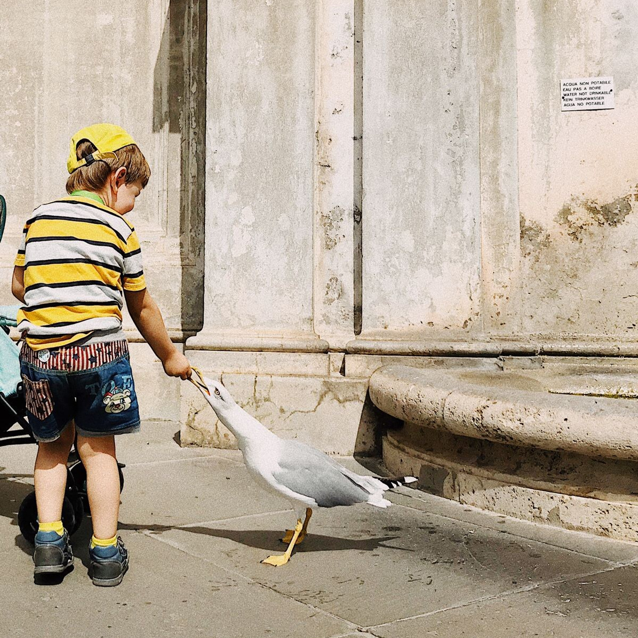 Лучшие фото, снятые на iPhone