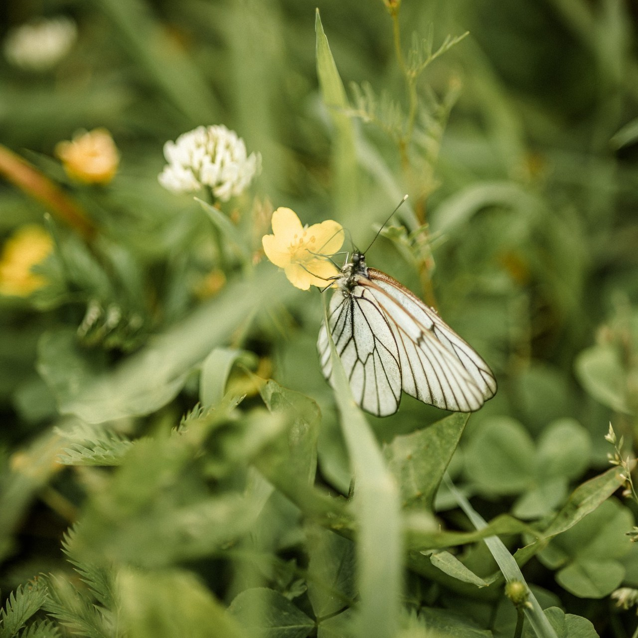 Отзывы. Семейный, детский, спортивный фотограаф в Красноярске Захарова Екатерина Egoza