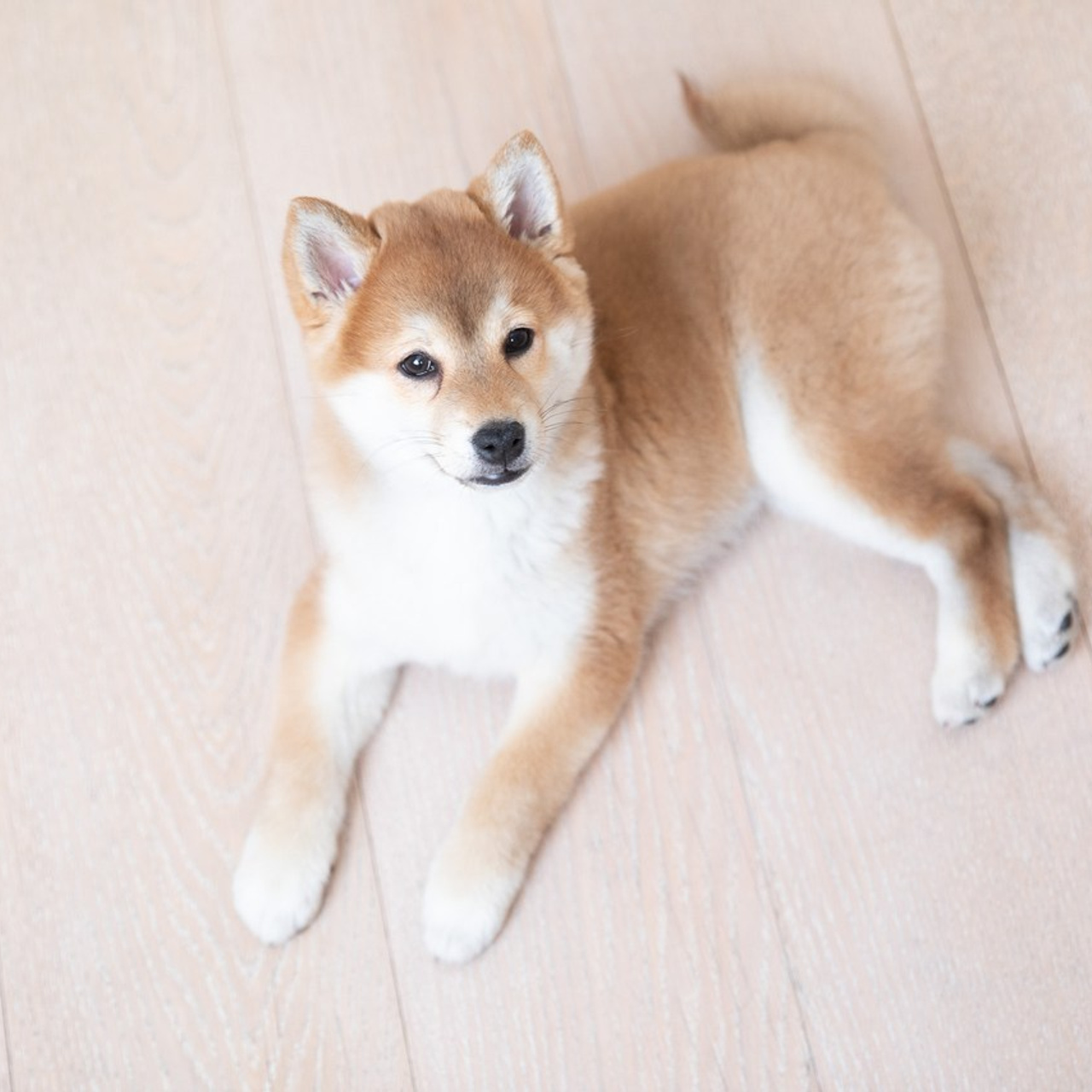 Отзывы. Главная