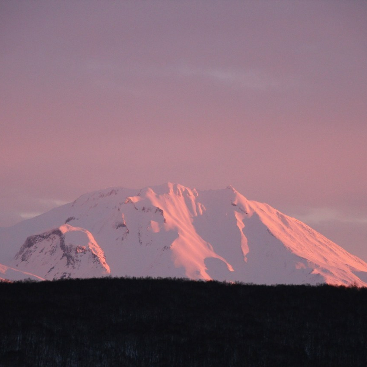 Отзывы и пожелания. Хорошая экспедиция