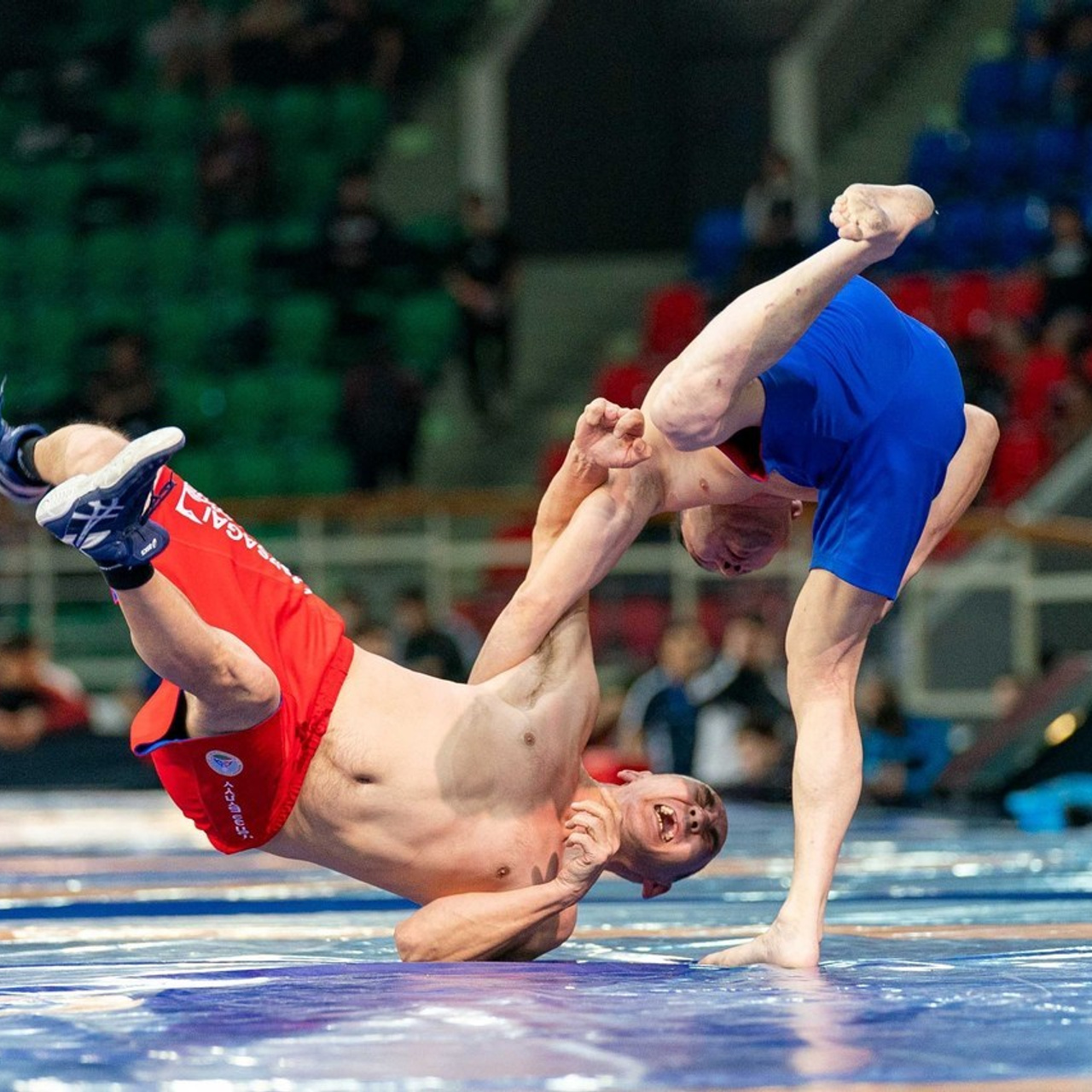 Отзывы. Студия «Мой Спорт!» — все о спорте в Якутии