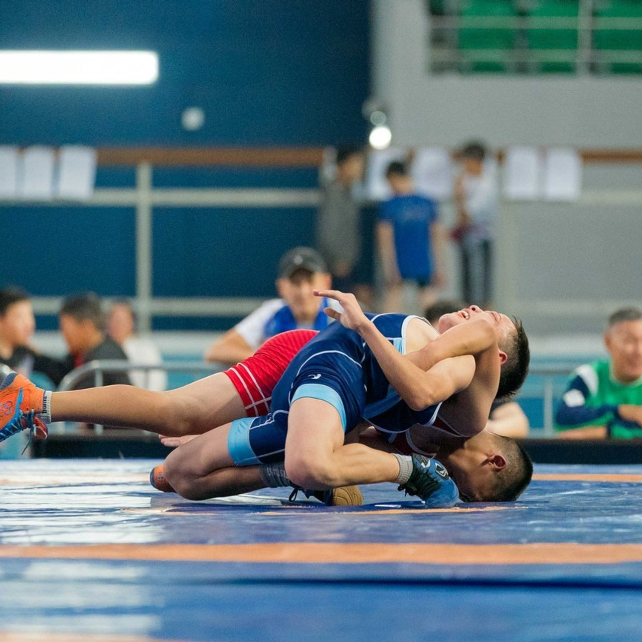 Отзывы. Студия «Мой Спорт!» — все о спорте в Якутии