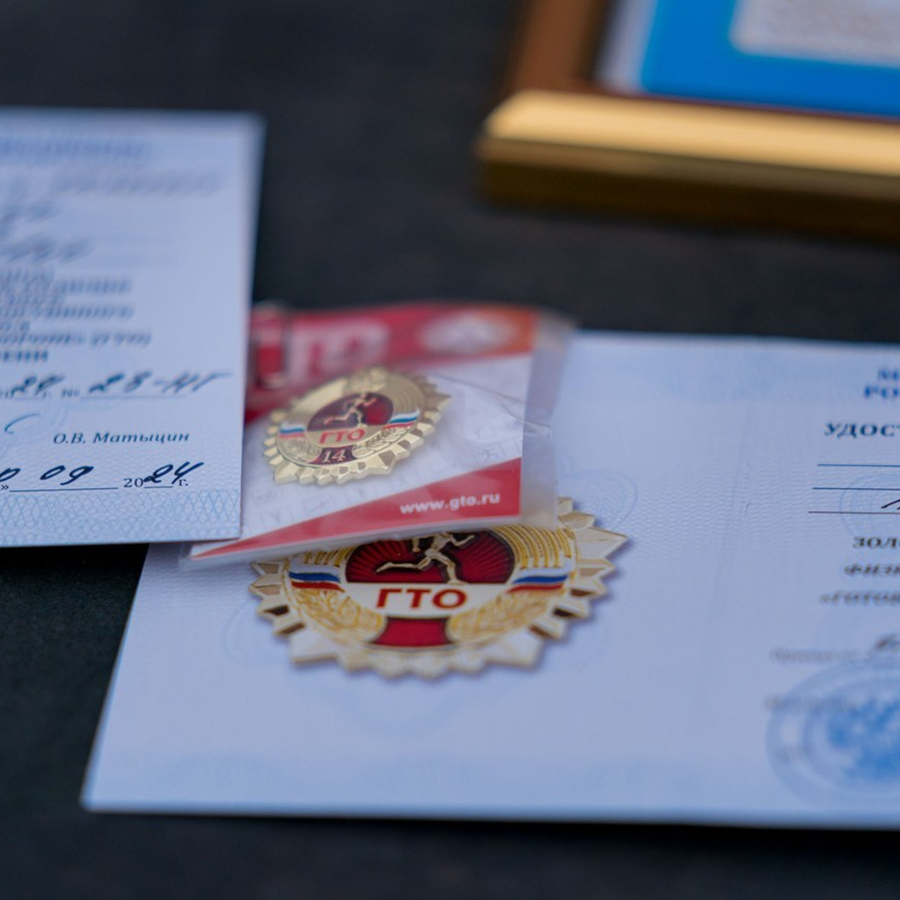 Отзывы. Студия «Мой Спорт!» — все о спорте в Якутии