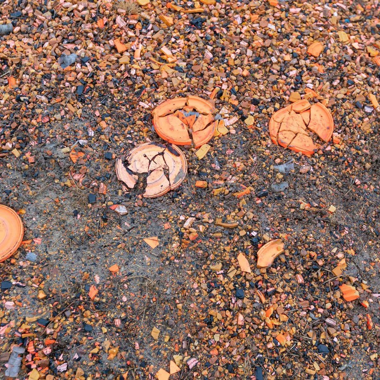 Отзывы. Студия «Мой Спорт!» — все о спорте в Якутии