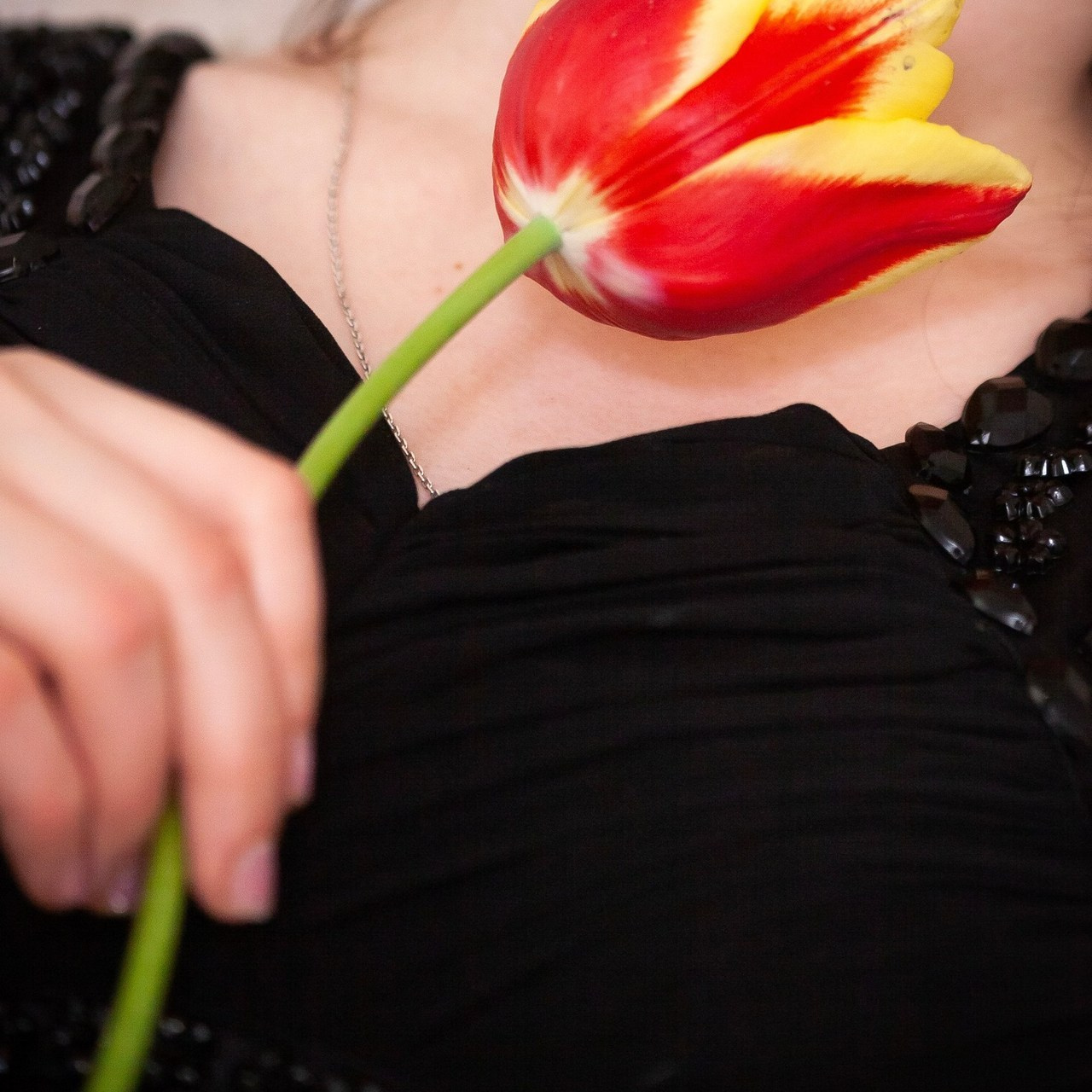 Comments. Фотограф Александр Скрементов (Россия, Москва, Брянск, Орел, Смоленск)