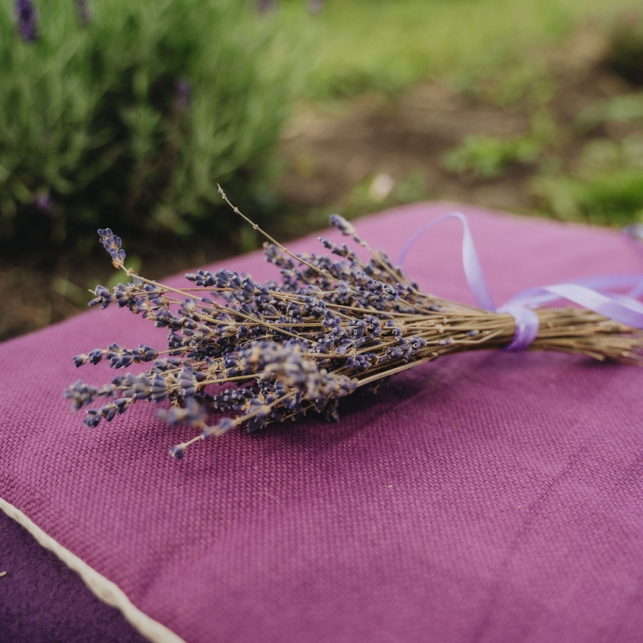 Отзывы. Свадебный и семейный фотограф в Курске Мария Бойку