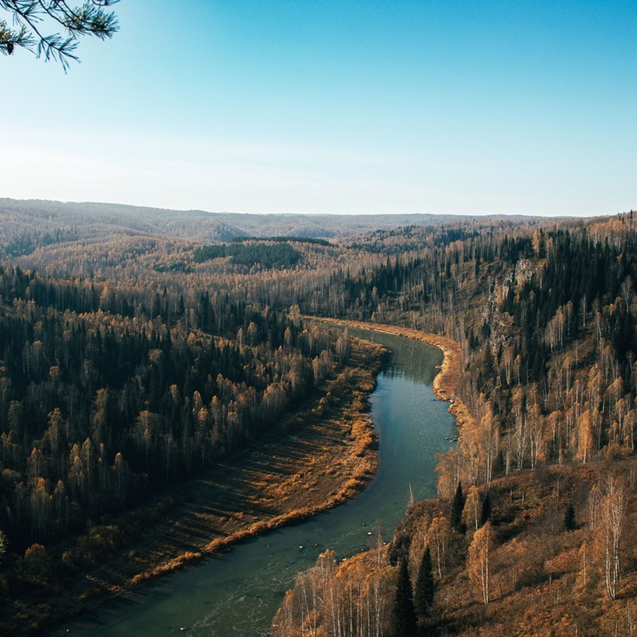 Отзывы о фуд и предметной съёмке | Клиенты из Санкт-Петербурга и Москвы. Фуд и предметная съёмка в Санкт-Петербурге | Светлана Снежкина