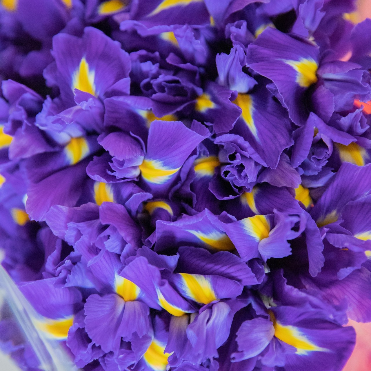 ОТЗЫВЫ. Портретный фотограф в Краснодаре Надежда Елынко