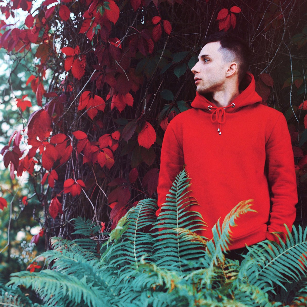 About me. The Andris