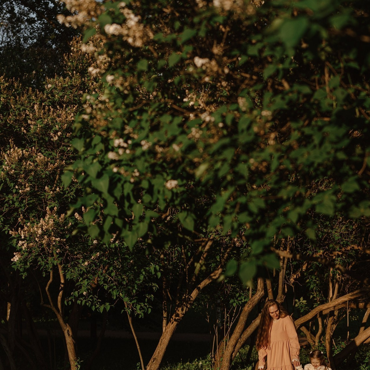 Отзывы. Annauskova