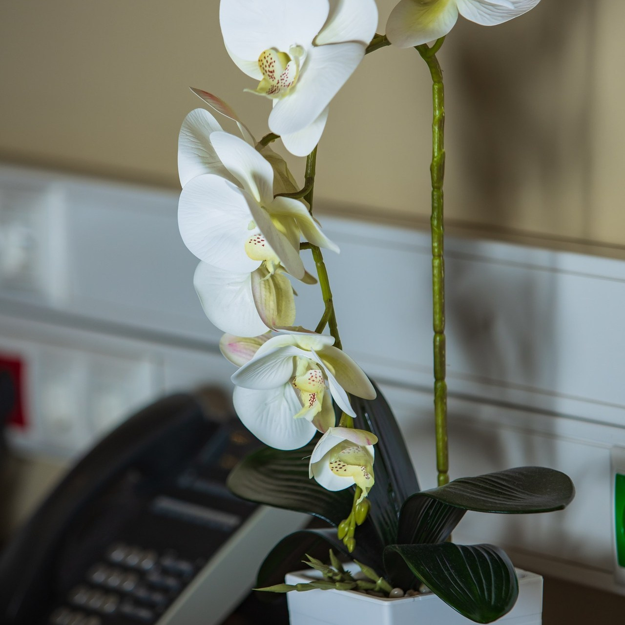 Отзывы наших клиентов. BostanPhoto. Фото и видеосъемка для маркетплейсов