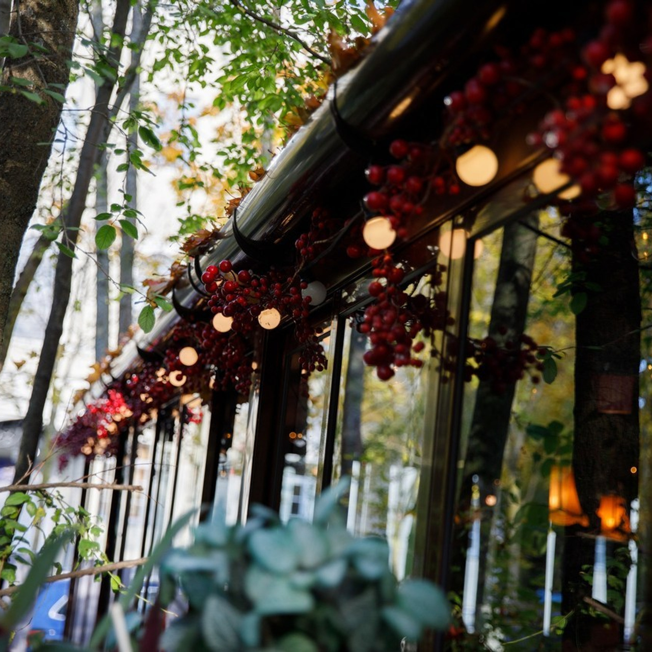 Женский фотограф Ольга Гузь. Курск, Санкт-Петербург. Женский и семейный Фотограф Ольга Гузь Курск, Москва, Санкт-Петербург