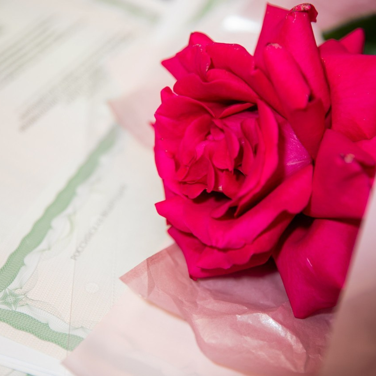 Женский фотограф Ольга Гузь. Курск, Санкт-Петербург. Женский Фотограф Ольга Гузь, Санкт-Петербург