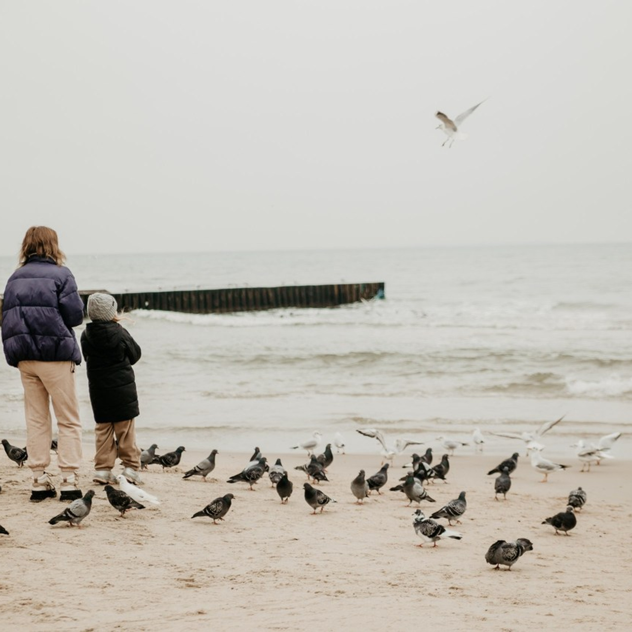 Отзывы. Портретный фотограф в Калининграде Алеся Раух
