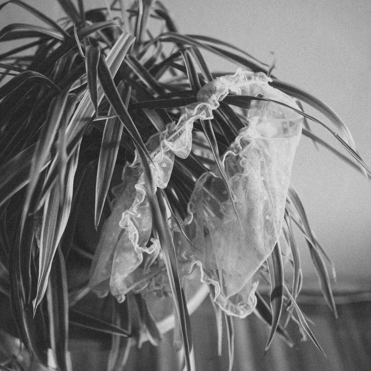 Отзывы. Фотограф Москва / Зеленоград — Наталья Петухова