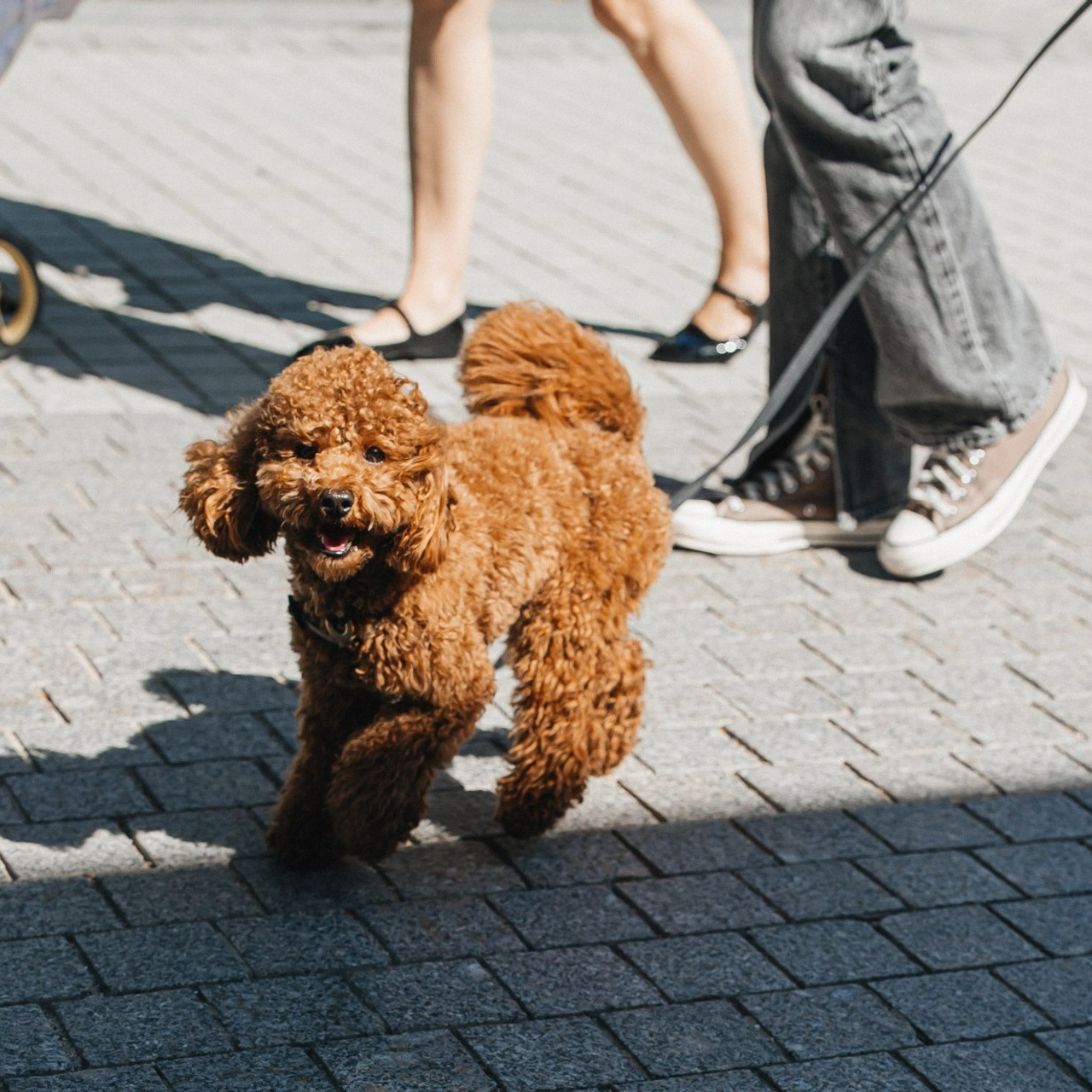 Отзывы. Детский и семейный фотограф Москва Виктория Самоховец