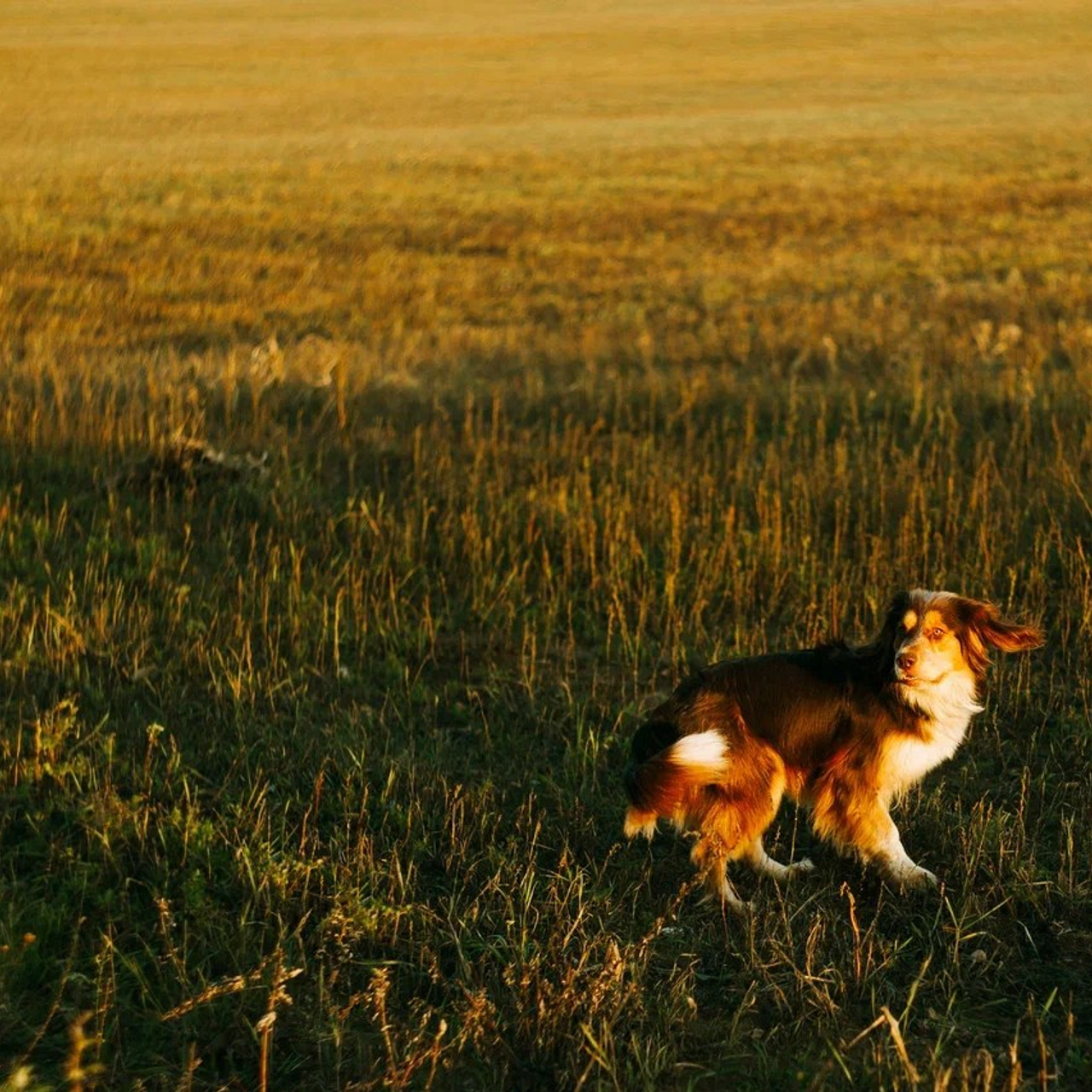 Путешествия. Ваш портретный фотограф в Москве Катя Прокофьева