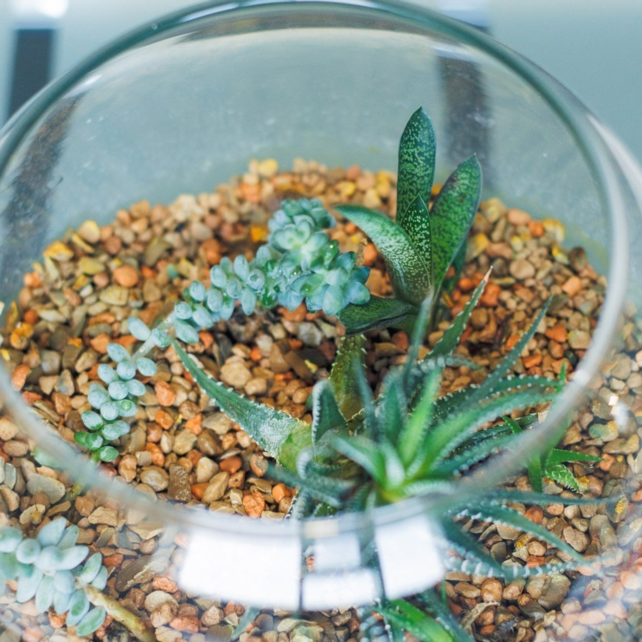 Отзывы. Свадебный и семейный фотограф в Курске