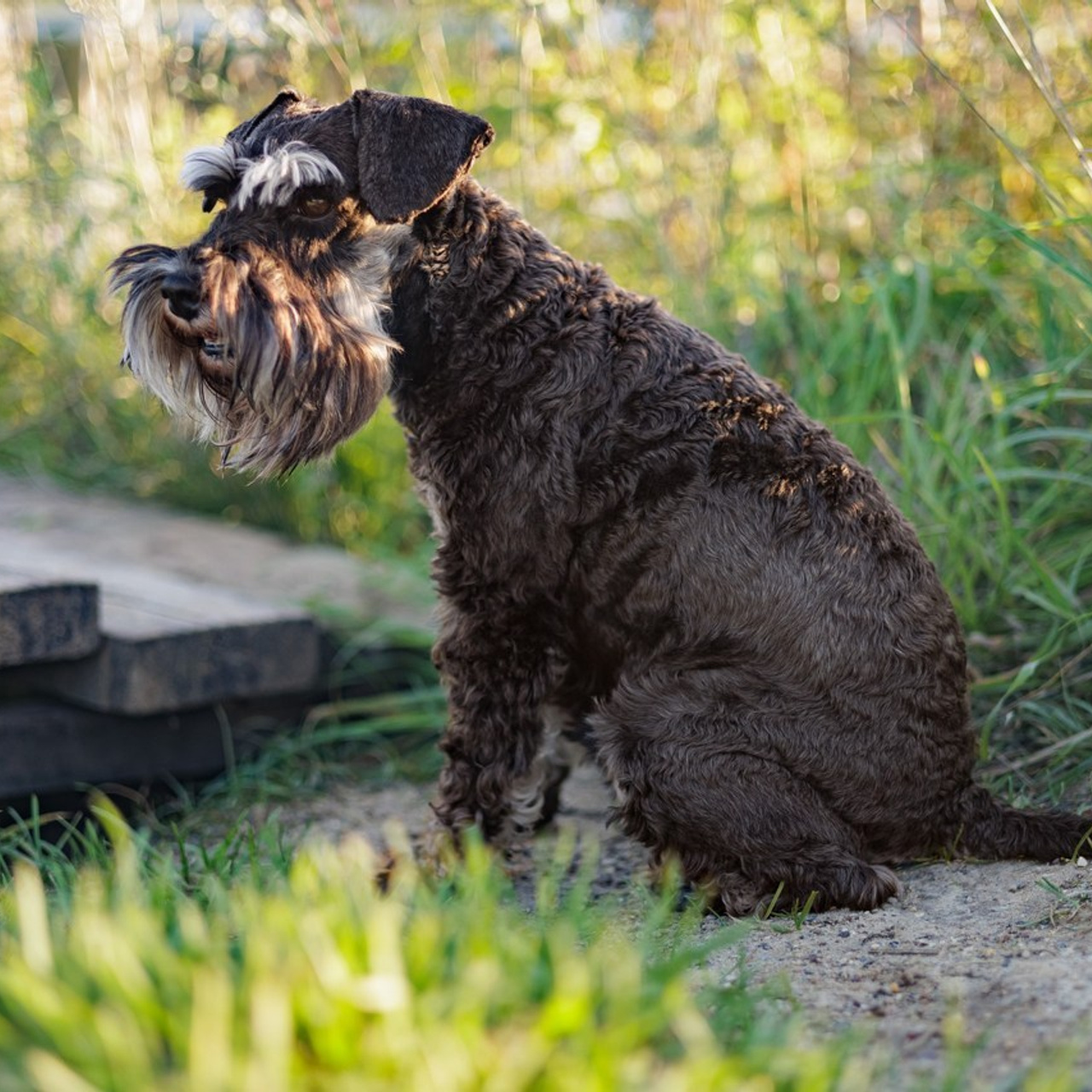 Отзывы. Школьный и семейный фотограф г. Клин Елена Желнина