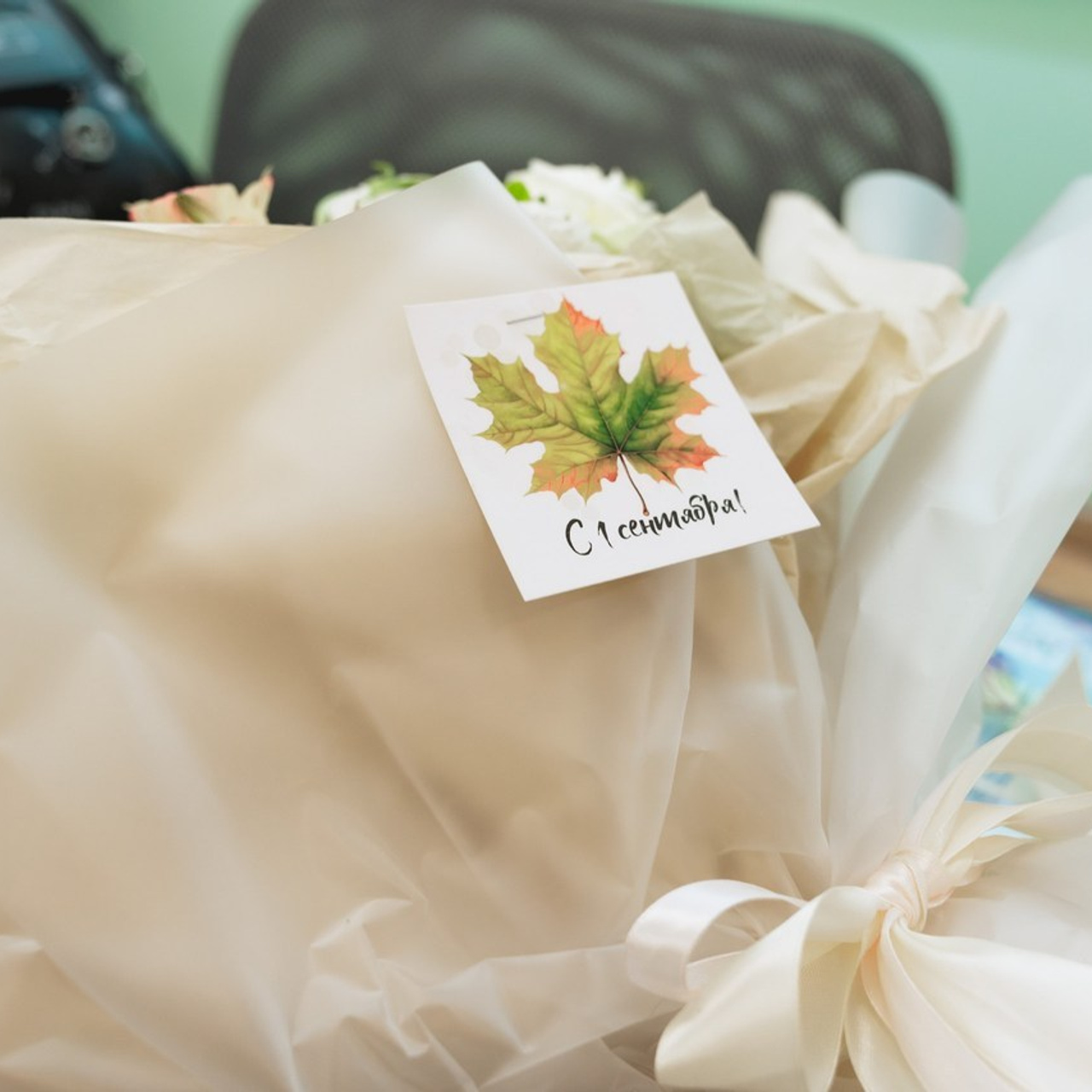 Отзывы. Школьный и семейный фотограф г. Клин Елена Желнина