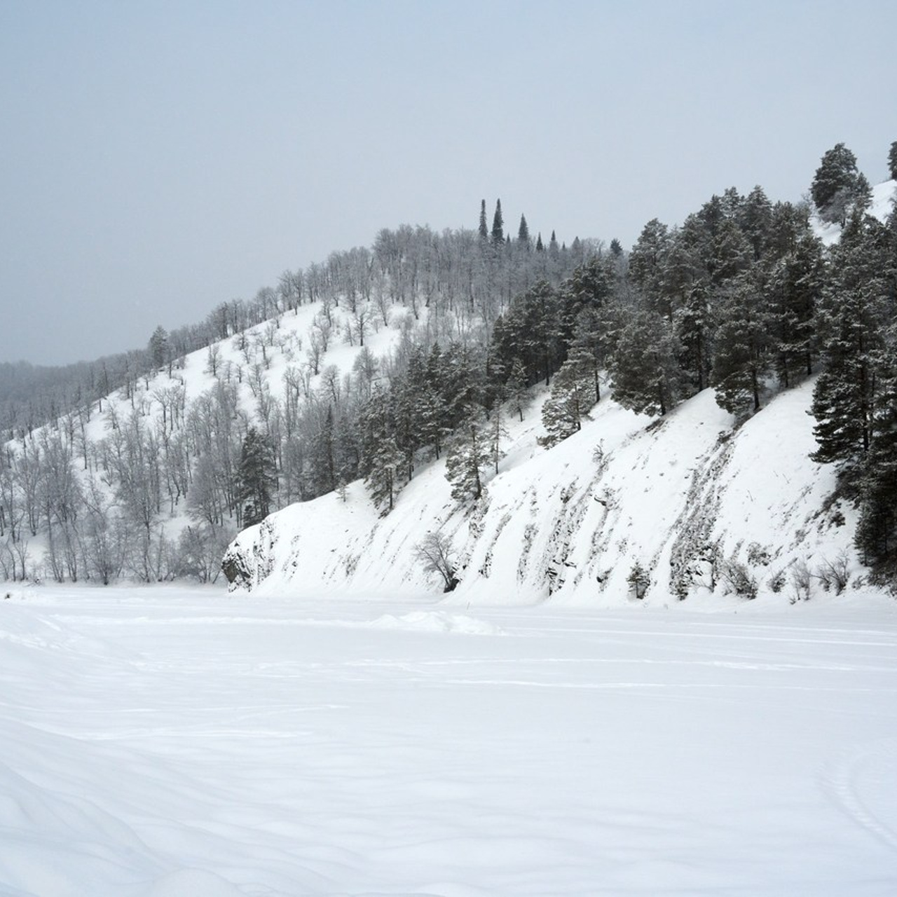 Отзывы. Фотограф в Уфе Семен Проскуряков