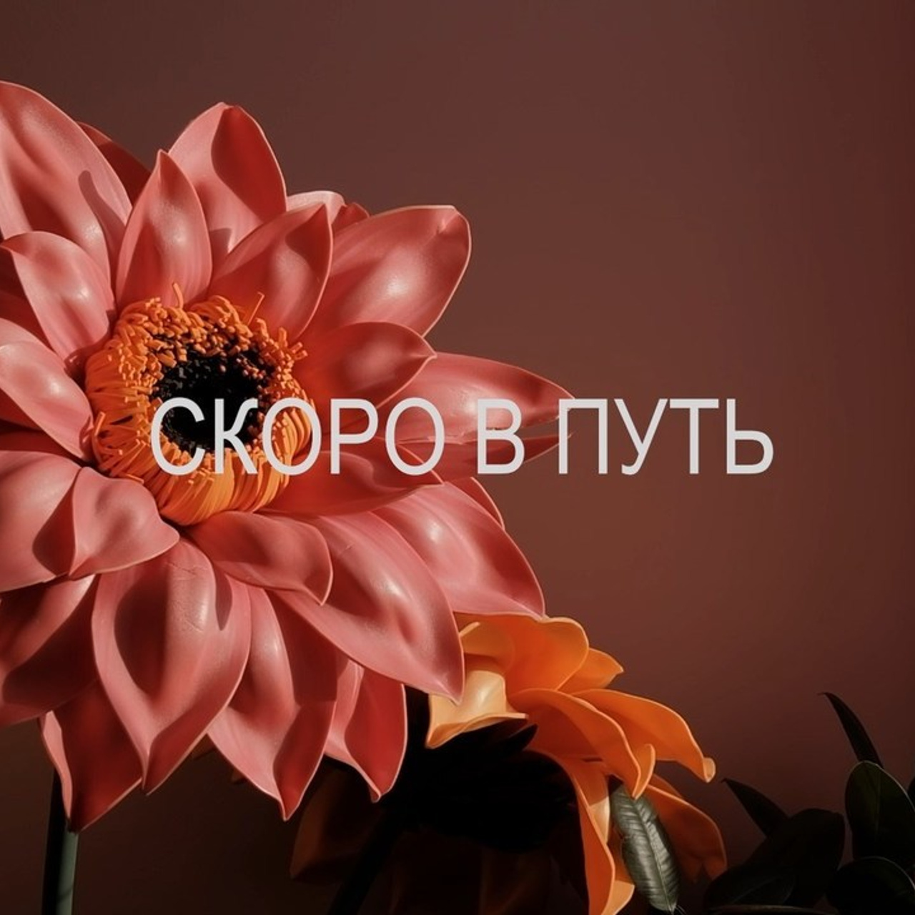 Видеосъемка отзывы. Видеосъемка в Барнауле