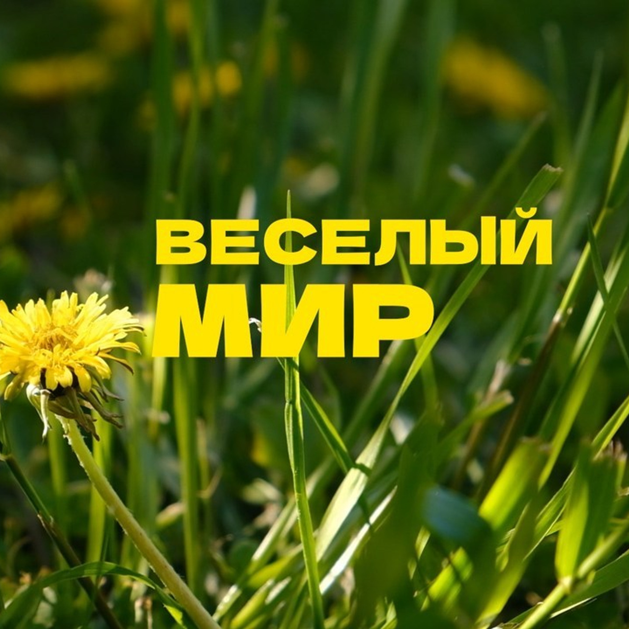 Видеосъемка отзывы. Видеосъемка в Барнауле