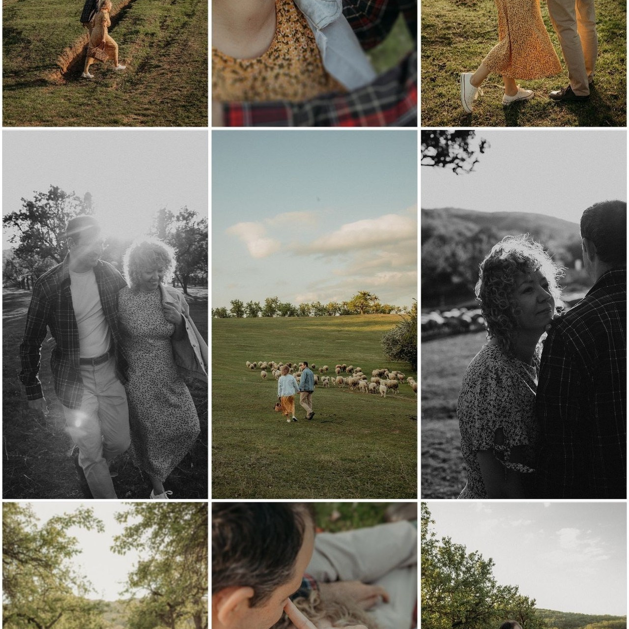 Отзывы. Условия и стоимость