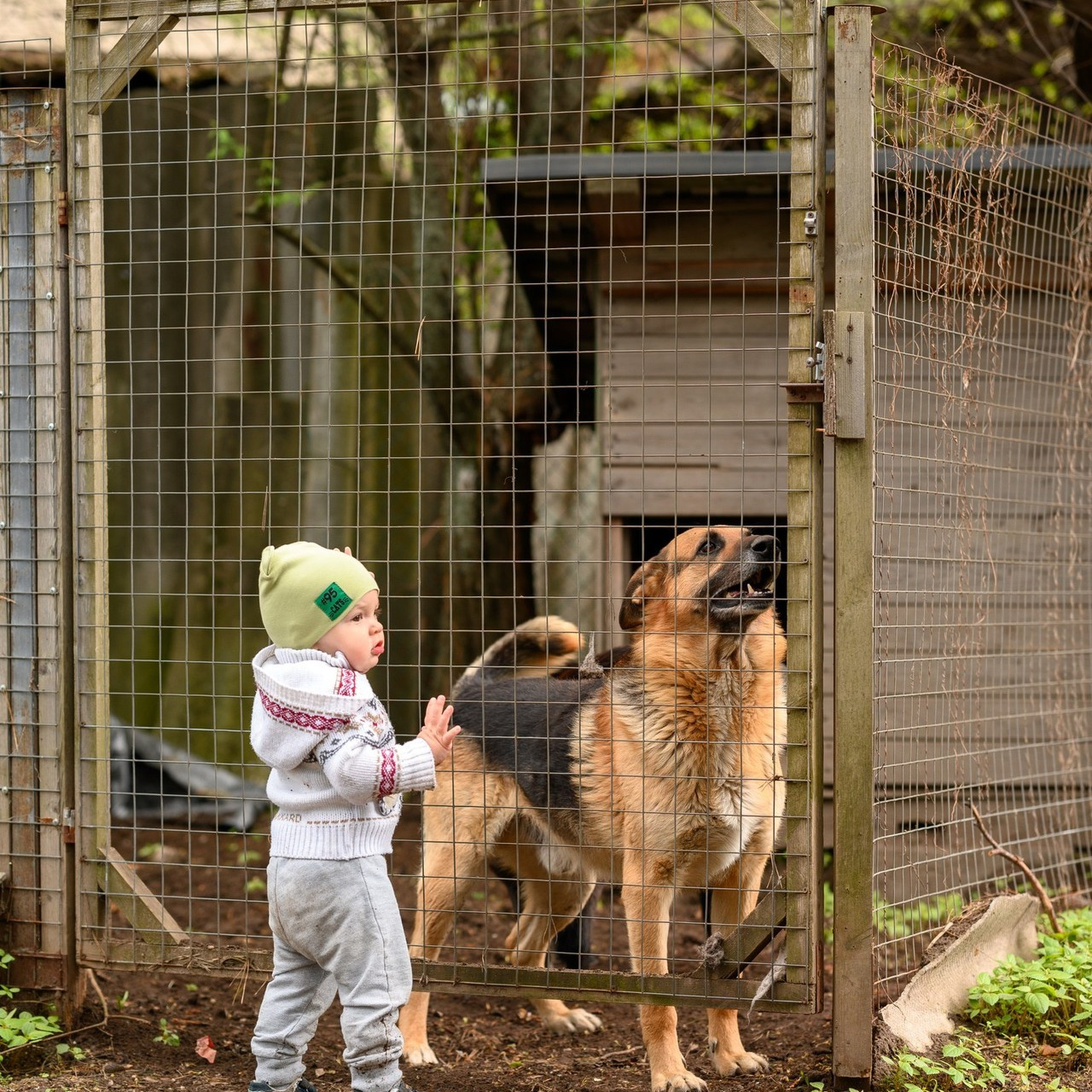 Отзывы. Семейный фотограф Казакова Дарья