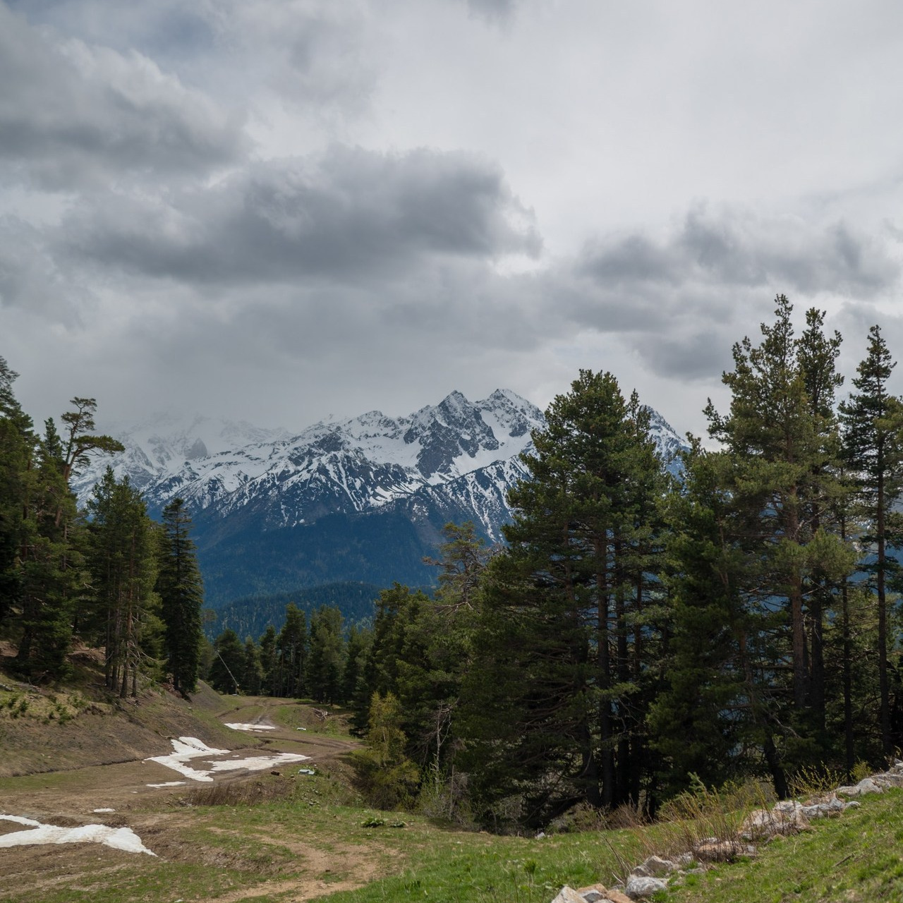Отзывы. Семейный фотограф Казакова Дарья