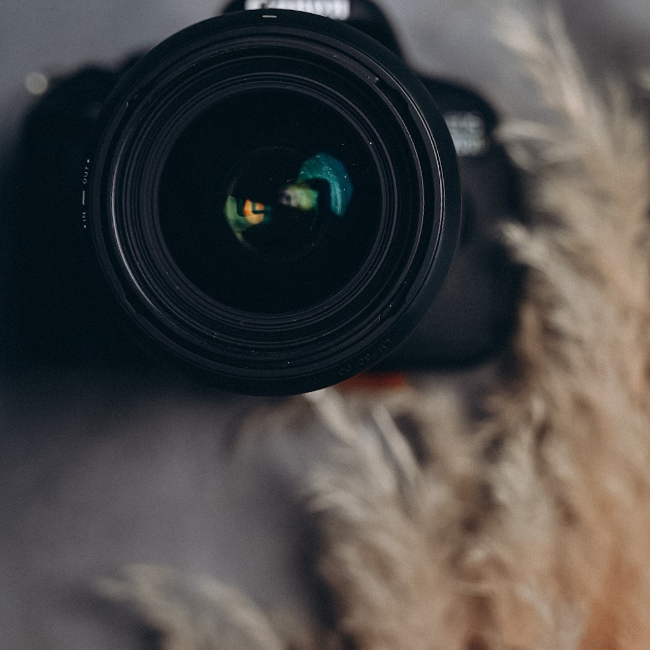 Отзывы. Семейный фотограф в Минске Дарья Дреко