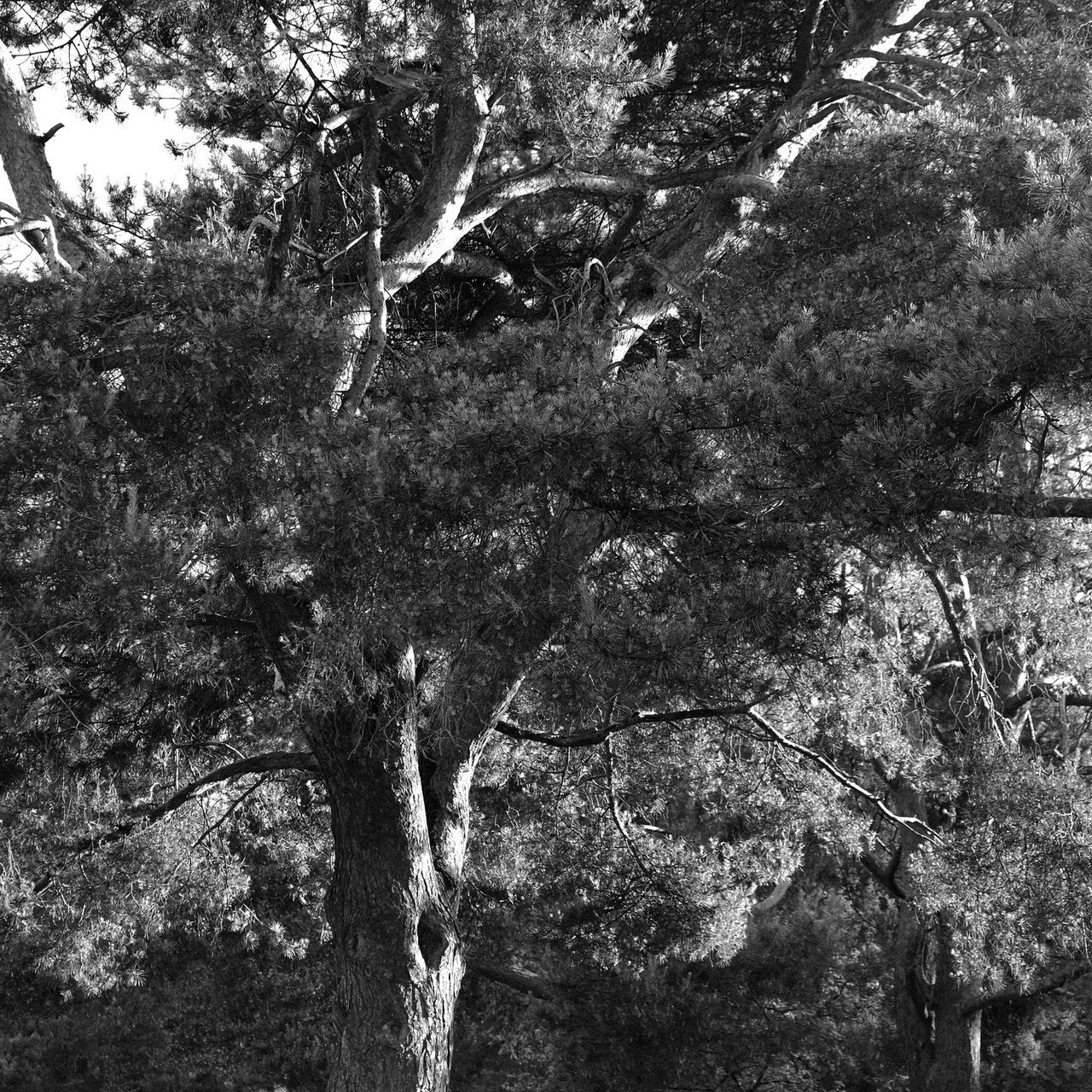 Отзывы. Фотограф из Москвы, сниму кино про вас