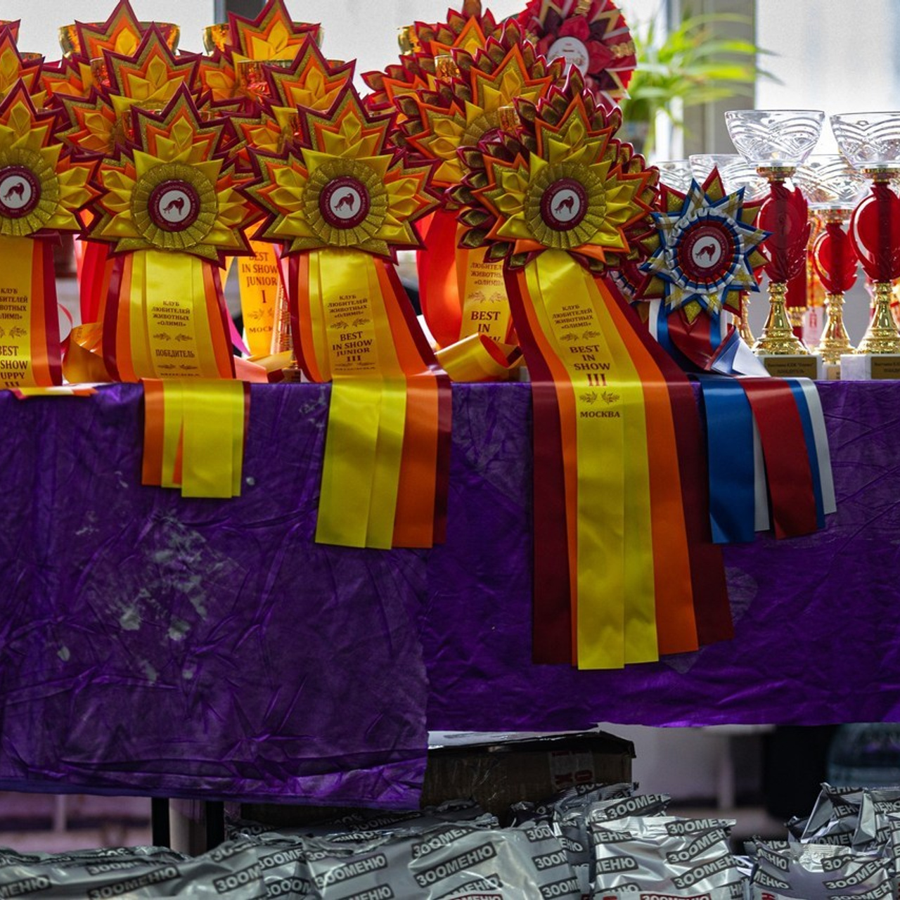 Отзывы. Фотограф Ольга Гирусова «Пантерочка» Москва