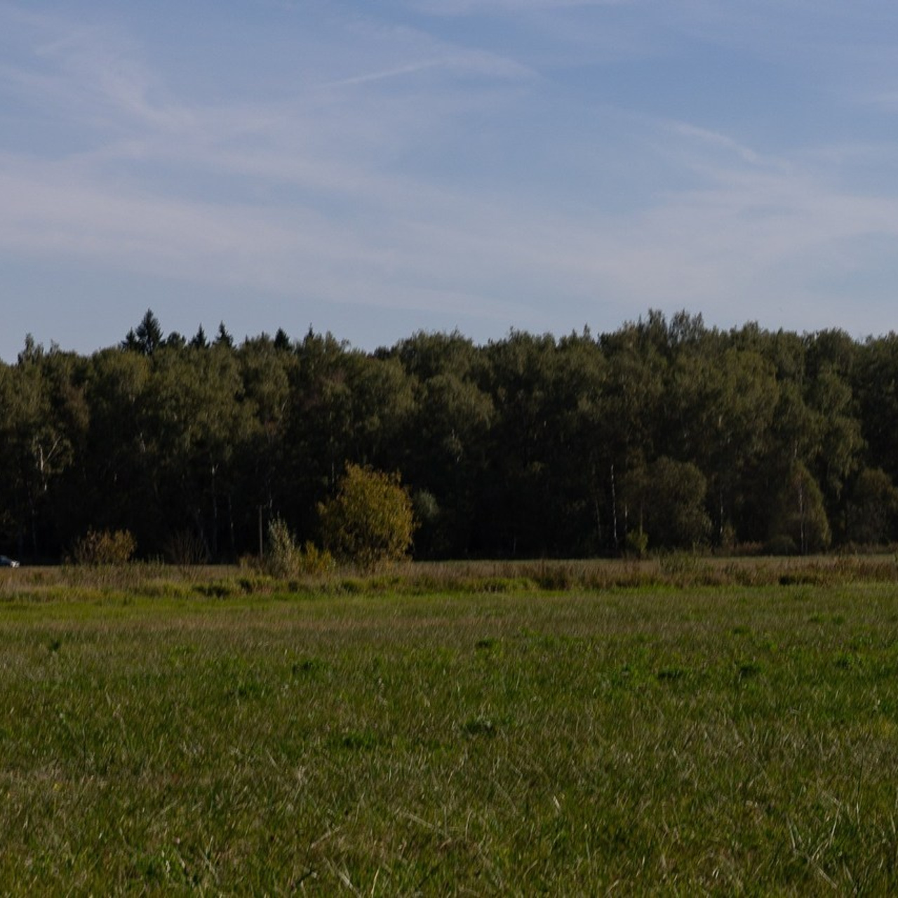 Отзывы. Фотограф Ольга Гирусова «Пантерочка» Москва