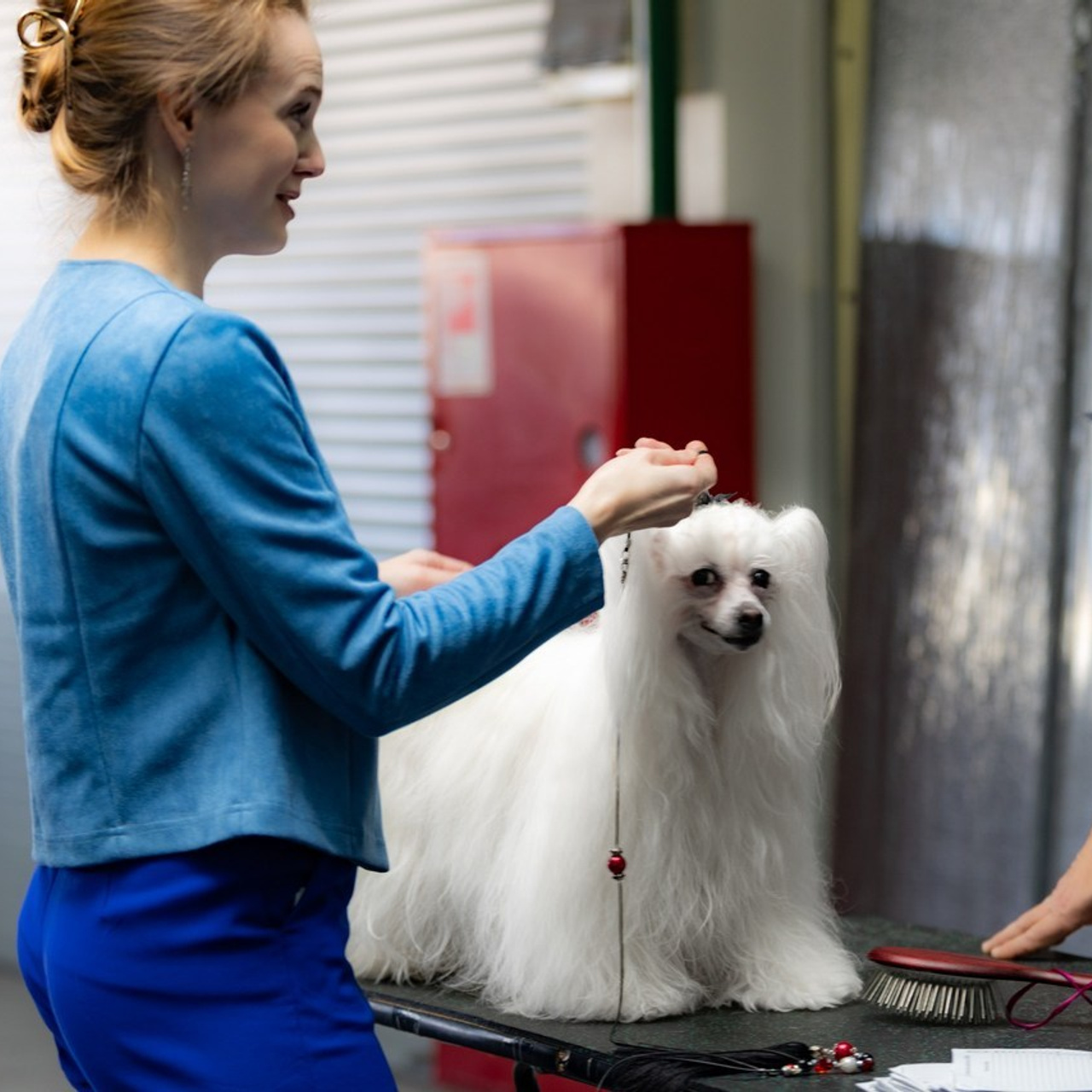 Отзывы. Фотограф Ольга Гирусова «Пантерочка» Москва