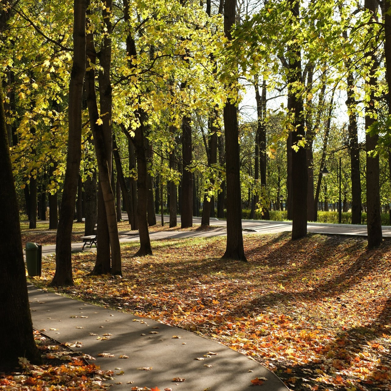 Отзывы. Предметный фотограф Евгения Ларчуженкова