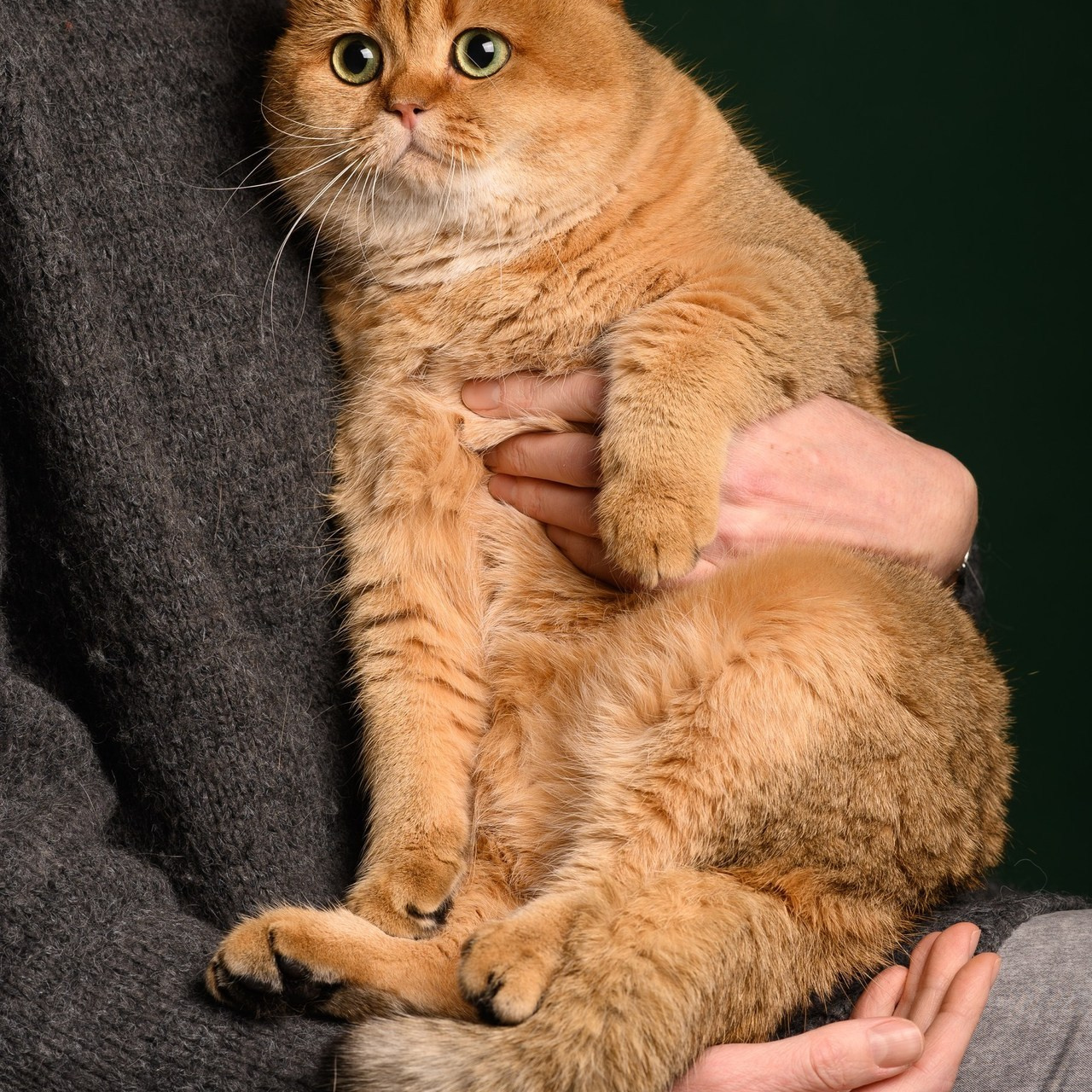 Отзывы. Семейный и свадебный фотограф в Сарове Дмитрий Власов