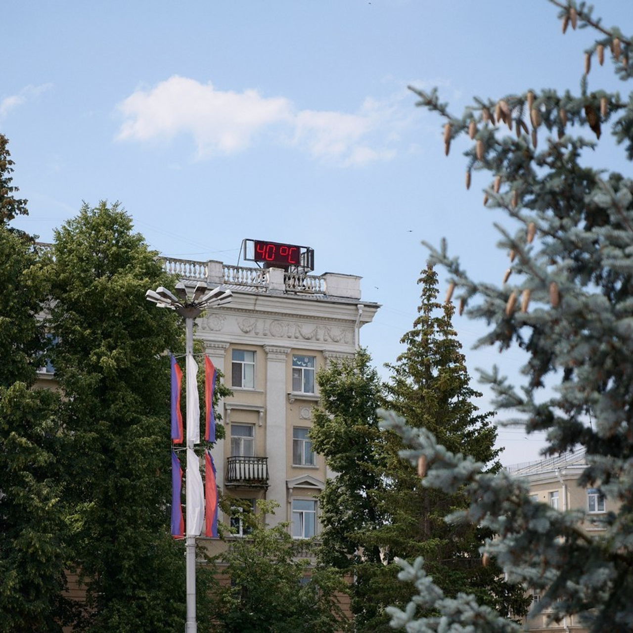 Отзывы. Семейный и свадебный фотограф в Сарове Дмитрий Власов